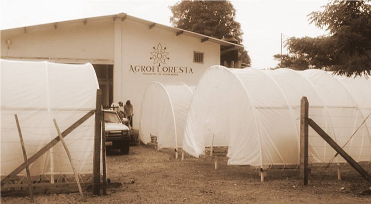 Agrofloresta Facilities in Tabasco